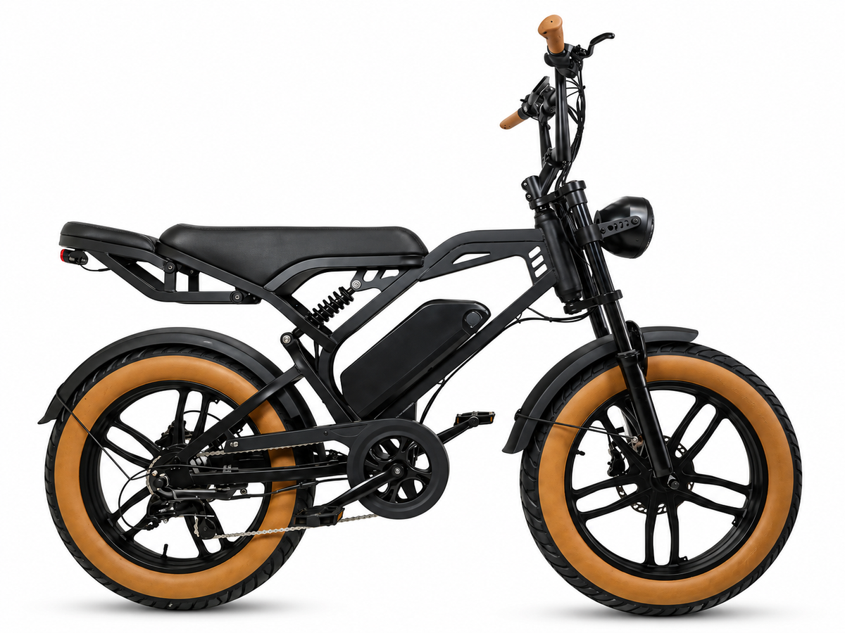 LEEU V20