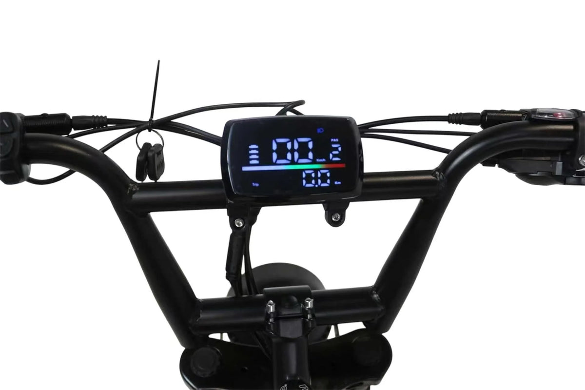 LEEU V20